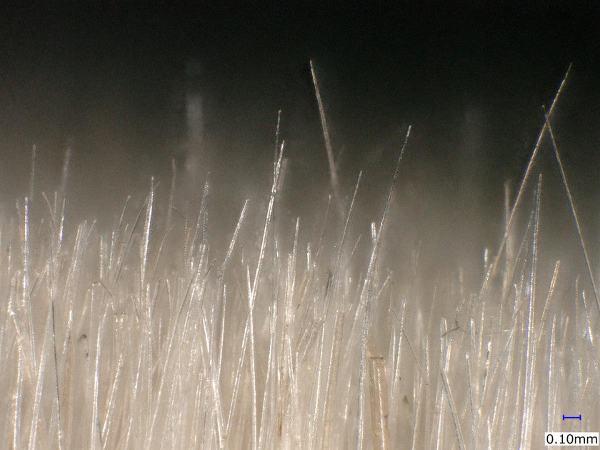 Finishing Brush – Artisan Quality Goat Hair from Kumano, Japan